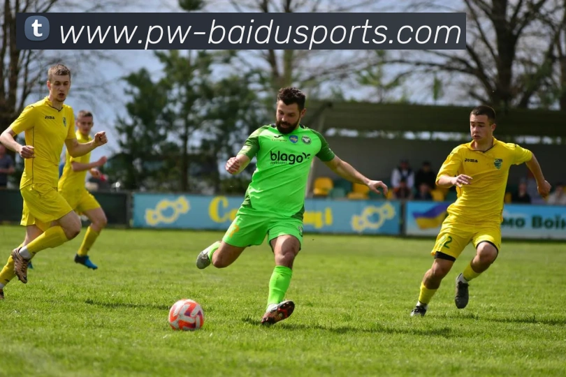 百度体育世界杯直播平台生态图