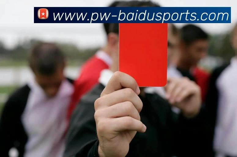 百度体育世界杯直播APP 封面图